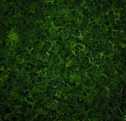 Woodland Green Structure Foliage Scatter Material - Ground / Tree Cover 30g