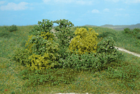 Sea Foam Bushes (20)