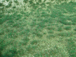 Realistic Wild Grass Marshy Grass 45 X 17cm