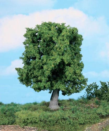 Heki 1945 Gnarled Oak 18cm Pk 1