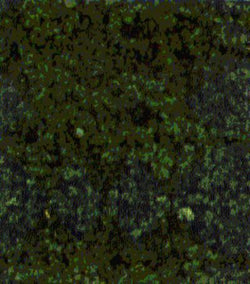 Heki 1552 Foliage Dark Green 28 X14cm