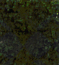 Heki 1563 Foliage  Pine Green 200ml