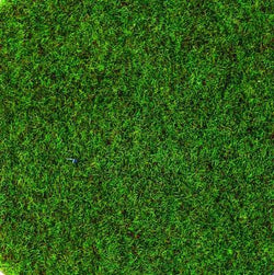 Static Grass: Spring Meadow 2-3mm 100g