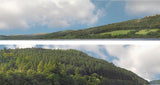 Art Printers iD Backscenes Forest Hills 201 15" Standard Scene B Mirrored