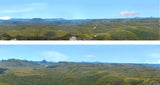 Scenic Backgrounds Forest Hills 279 15" Standard Scene B Mirrored