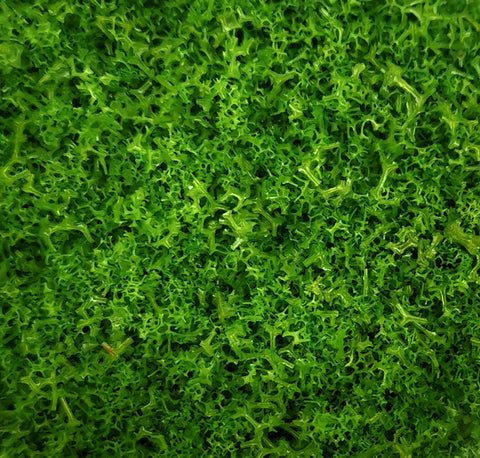 Light Green Structure Foliage Scatter Material - Ground / Tree Cover 30g