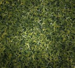 Seaweed Green (Coarse) Structure Foliage Scatter Material - Ground / Tree Cover 30g